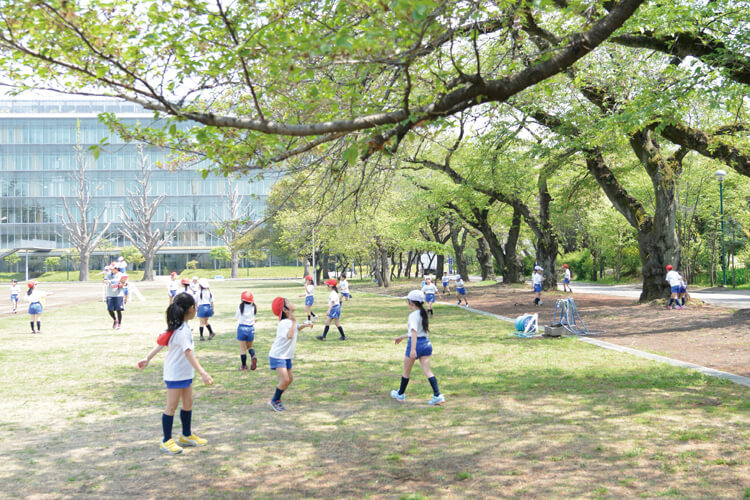 相模女子大学小学部様 公式サイト コーディア株式会社 相模女子大学小学部様 公式サイト コーディア株式会社